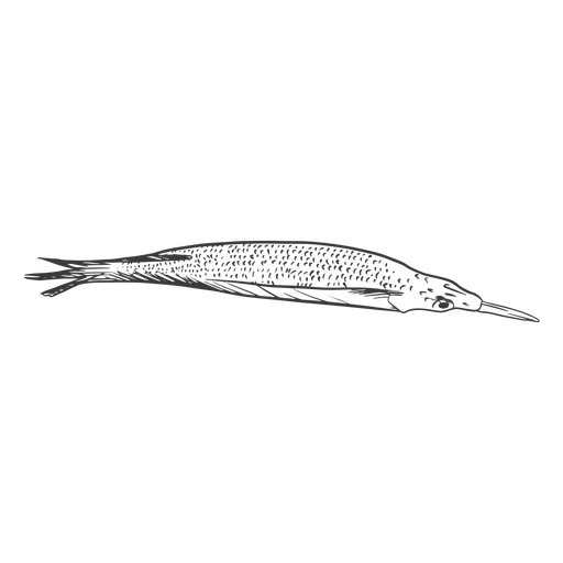 Fisch dünn handgezeichnet PNG-Design