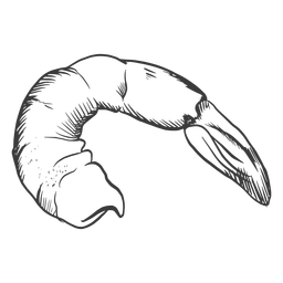 Von Hand gezeichnete Meeresfrüchte - 9 PNG-Design