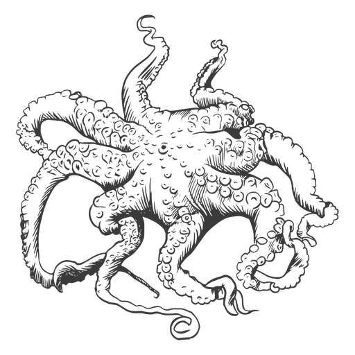 Octopus sea hand-drawn PNG Design