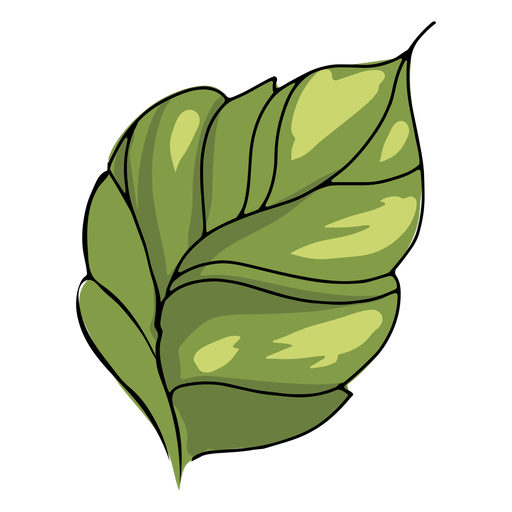 Single leaf illustration PNG Design