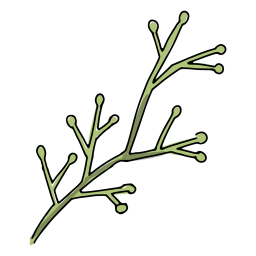 Branch natural illustration