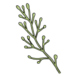 flores de calavera - 22 Diseño PNG