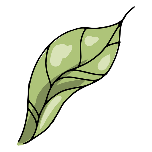 Leaf nature illustration