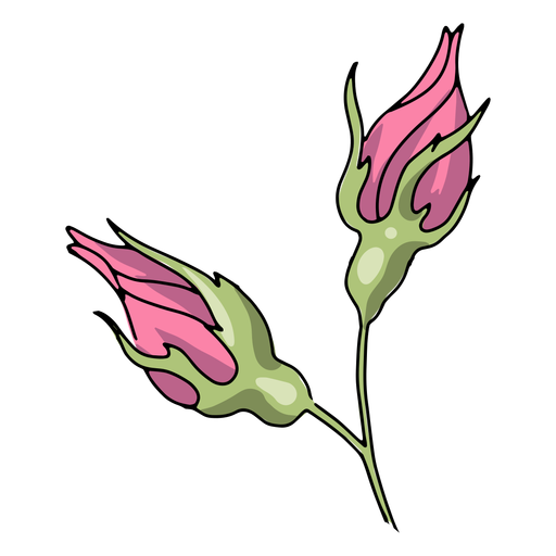Plant blossoming illustration PNG Design