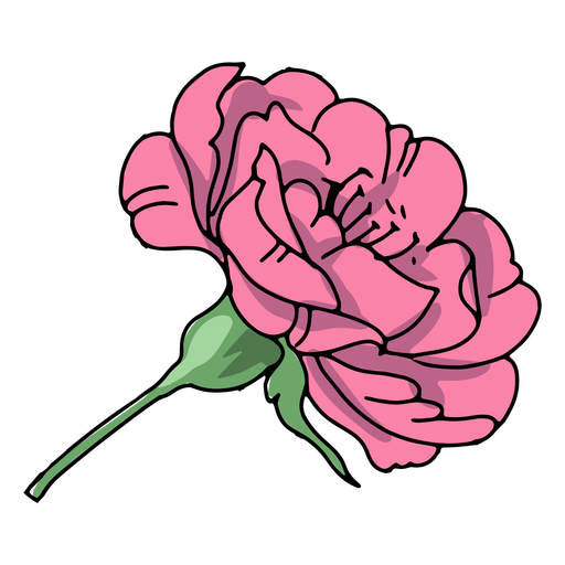 Blumenstammillustration PNG-Design