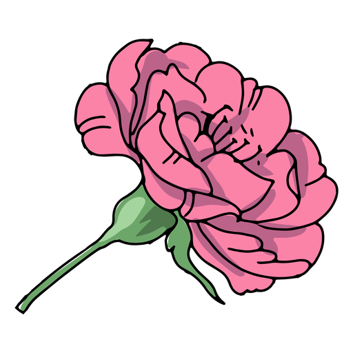 Ilustración de tallo de flor Diseño PNG