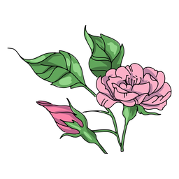 Flower buds illustration Transparent PNG
