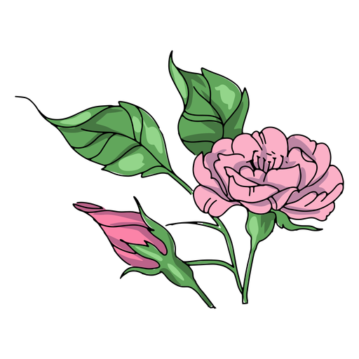 Ilustración de capullos de flores Diseño PNG