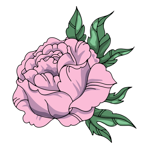 Detailed flower illustration PNG Design