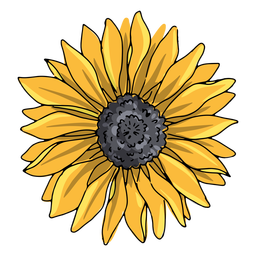 Single sunflower illustration