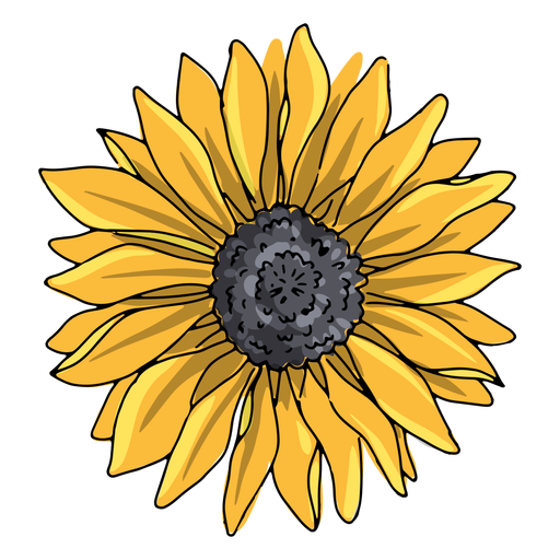 Einzelne Sonnenblumenabbildung PNG-Design