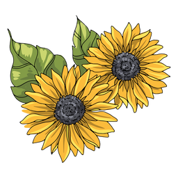 Two Sunflowers Illustration PNG & SVG Design For T-Shirts