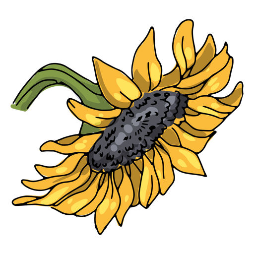 Sloping sunflowers illustration