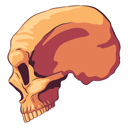 Profile skull illustration PNG Design