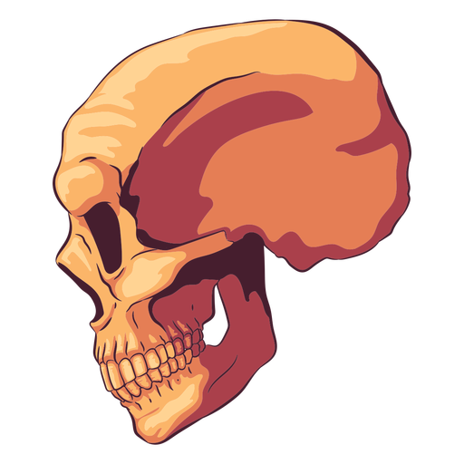 Ilustración de cráneo de vista lateral Diseño PNG