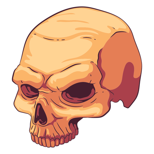 Ilustración de cráneo incompleta Diseño PNG