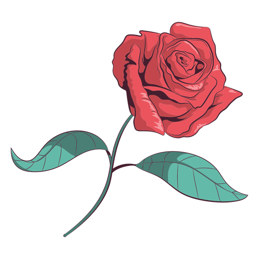 Rose flower illustration PNG Design