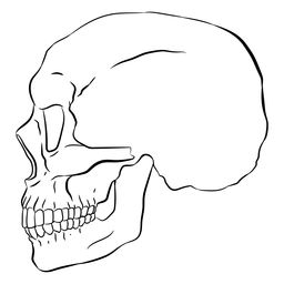 Perfil cráneo cráneo dibujado a mano Diseño PNG