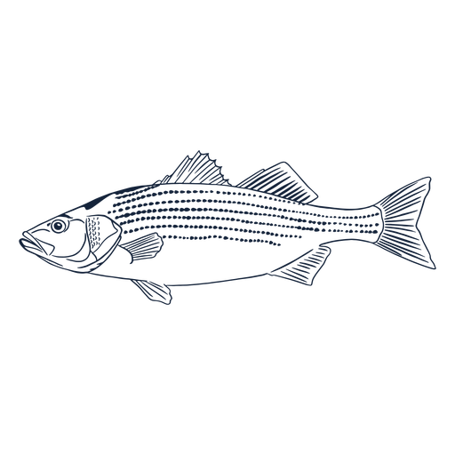 Download Fish Profile Line Art Transparent Png Svg Vector File