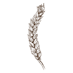 trigo - 0 Diseño PNG