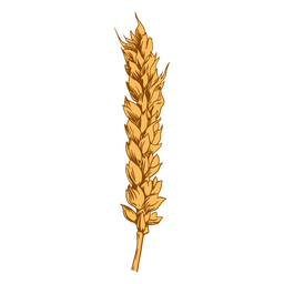 Weizen - 4 PNG-Design