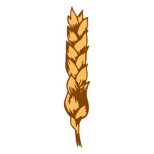 Ilustração simples de espiga de trigo Desenho PNG