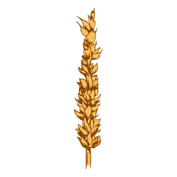 trigo - 7 Diseño PNG