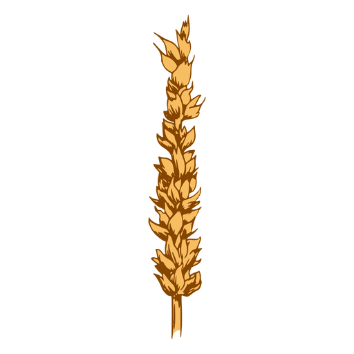Wheat spike grain PNG Design