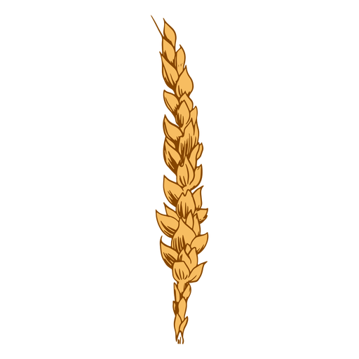 Ilustración de cereal de trigo Diseño PNG