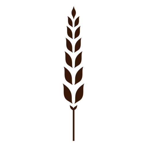 Split wheat spike cut-out PNG Design