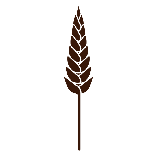 Wheat monochrome cut-out