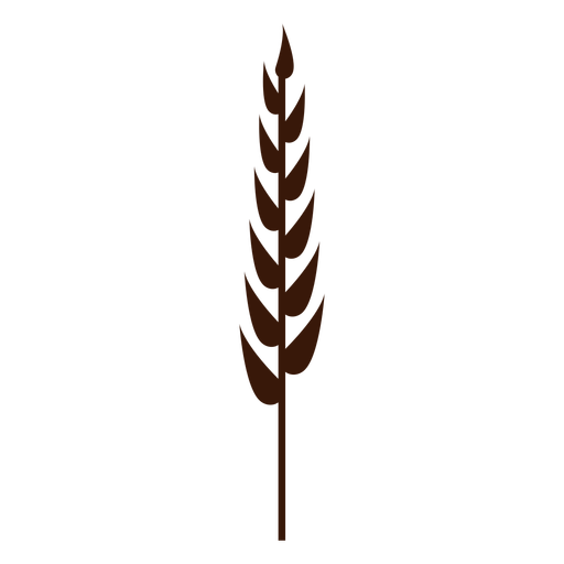 Narrow wheat spike cut-out PNG Design