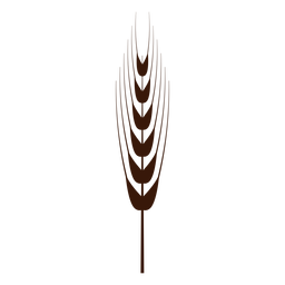 trigo - 27 Desenho PNG