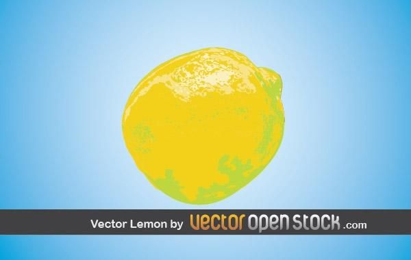 Vektor Zitrone Vektor Zitrone