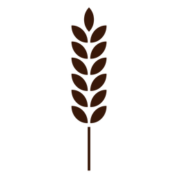 trigo - 30 Desenho PNG