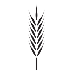 Weizen - 31 PNG-Design