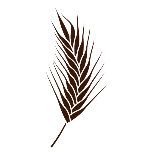 Detailed wheat spike cut-out PNG Design
