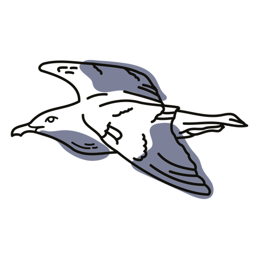 Seagull bird doodle PNG Design