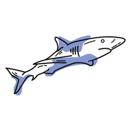 Doodle de animales marinos de tiburón Diseño PNG
