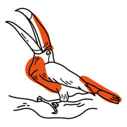Toucan wild bird doodle PNG Design