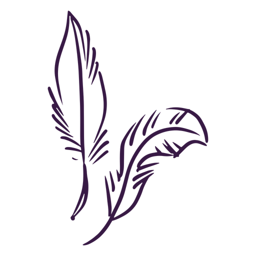Hand drawn pair of feathers PNG Design