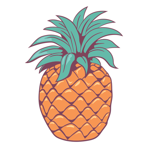 Colored hand drawn detailed pineapple