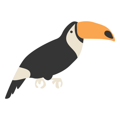 Toucan exotic bird PNG Design