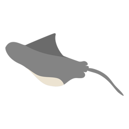 Stingray sea animal swimming PNG Design