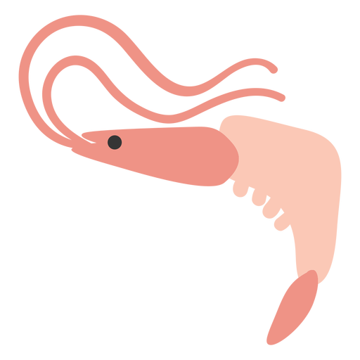 Shrimp sea animal PNG Design