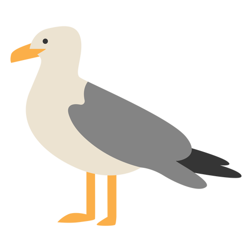 Seagull bird side-view PNG Design