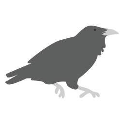 animales jóvenes y dulces - 31 Diseño PNG