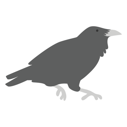 Raven bird animal PNG Design