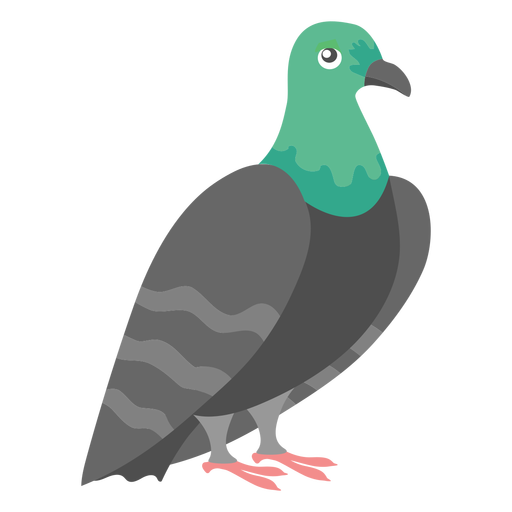 Vogel Taubenvogel PNG-Design