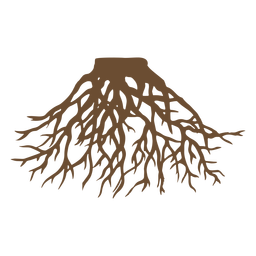 Tree roots nature PNG Design Transparent PNG